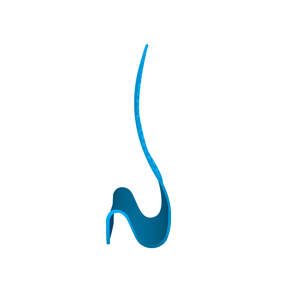 Pro Stretch Snake Banner